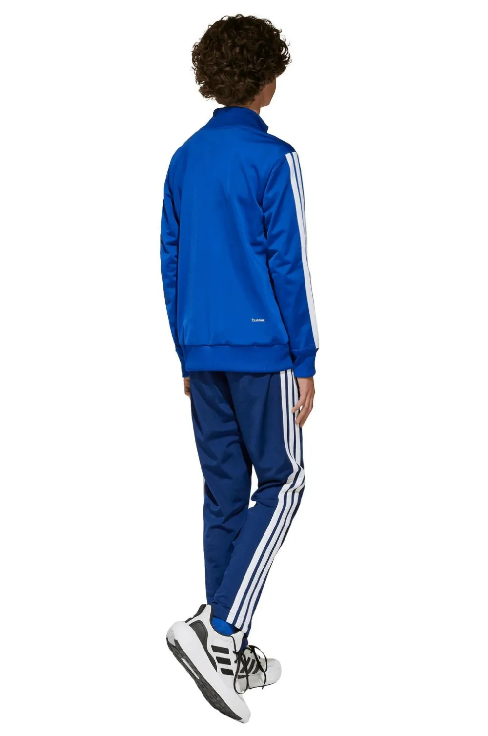 adidas Sport Performance Træningstøj>Træningssæt J 3S Tiberio TS Royblu/white/globlu