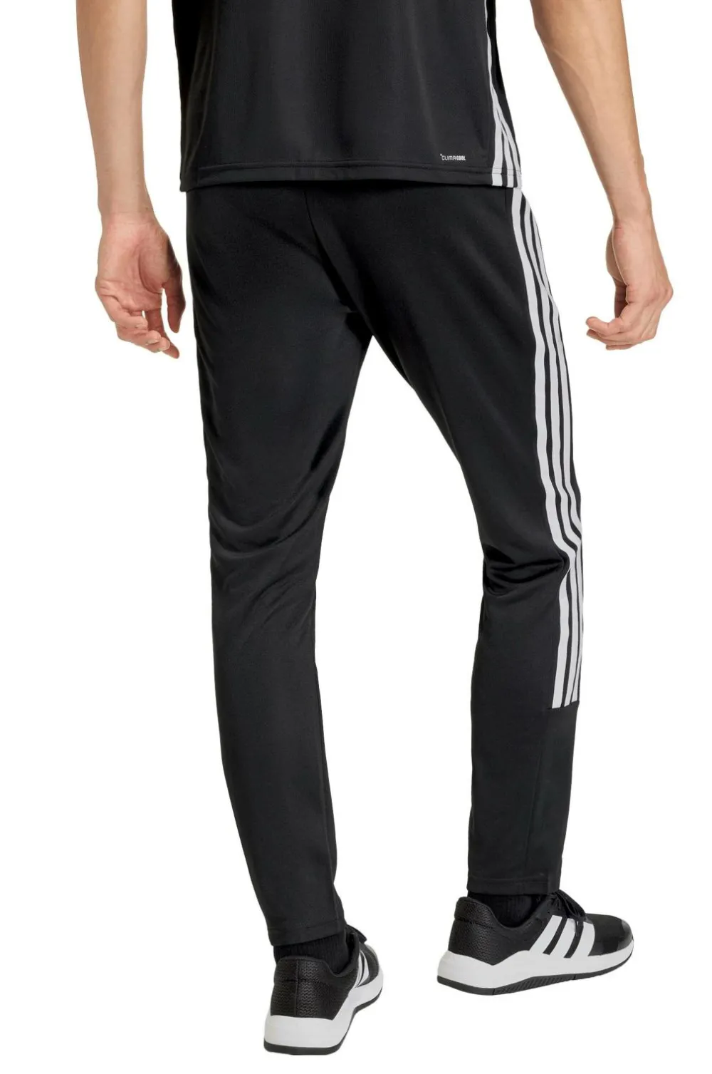 adidas Sport Performance Træningstøj|Træningstøj>Træningsbukser WE Allset 3S PT Black/white