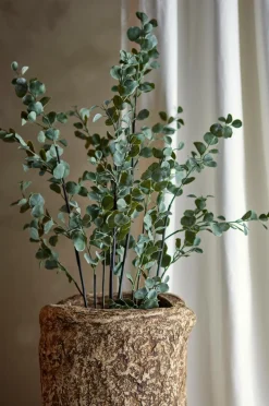 Bloomingville Planter & Blomster>Eucalyptus Plante Grøn