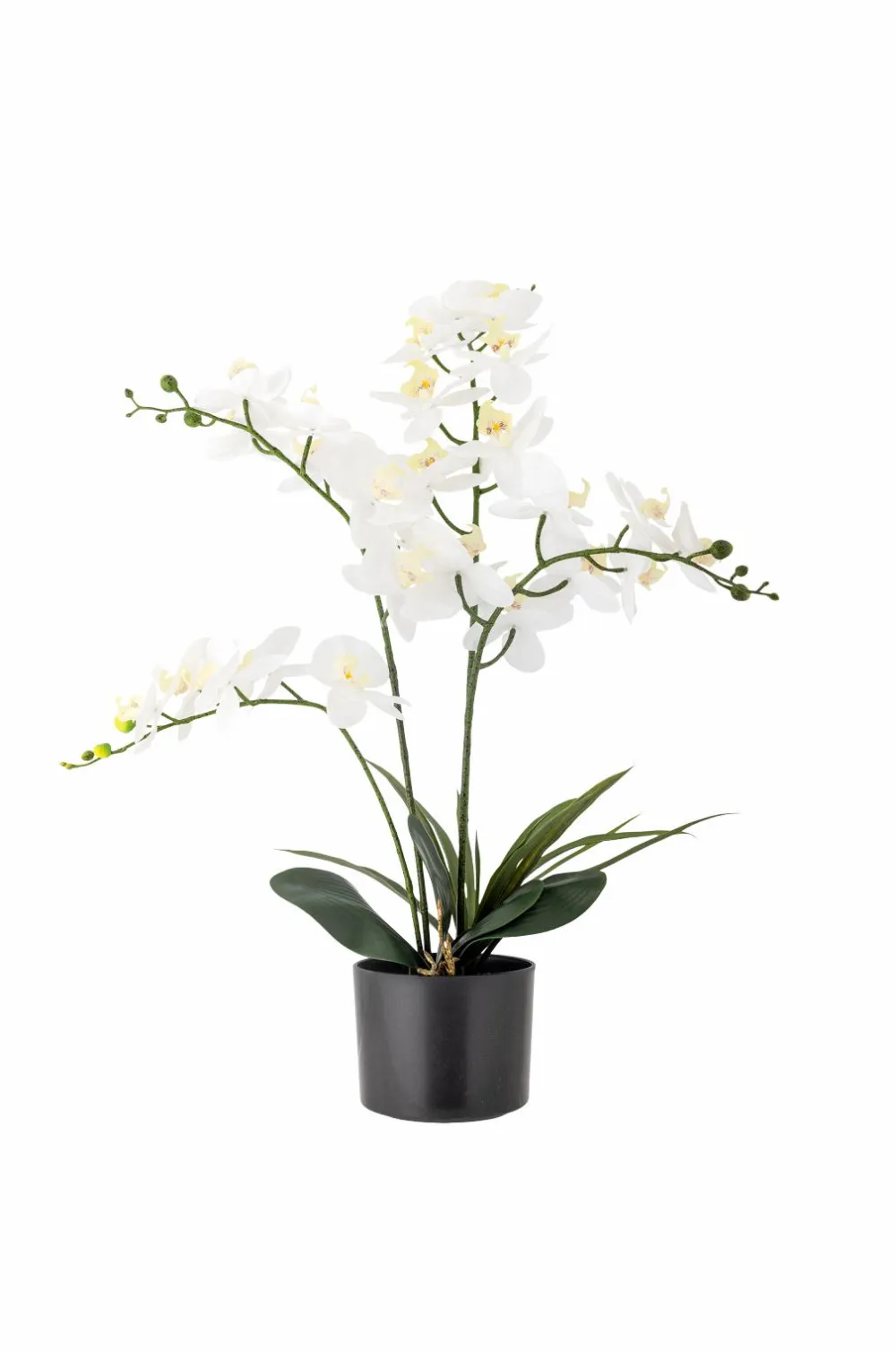 Bloomingville Planter & Blomster>Orchid Plante Grøn