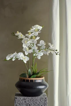 Bloomingville Planter & Blomster><noscript><img width=