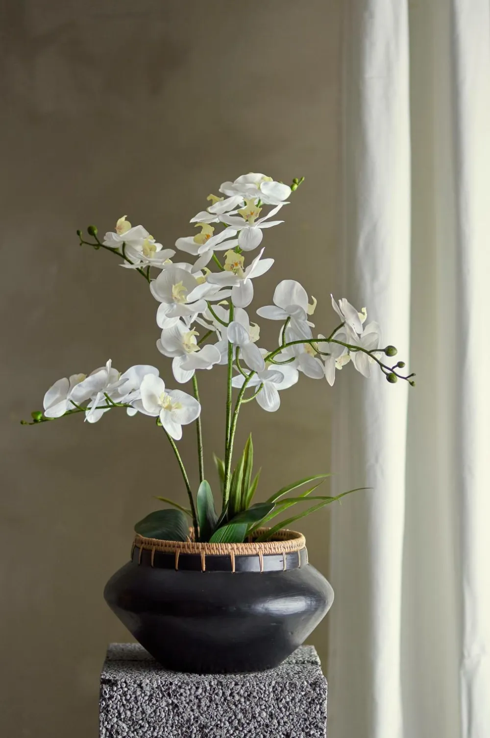 Bloomingville Planter & Blomster>Orchid Plante Grøn