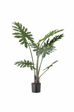 Bloomingville Philodendron Plante Grøn Clearance