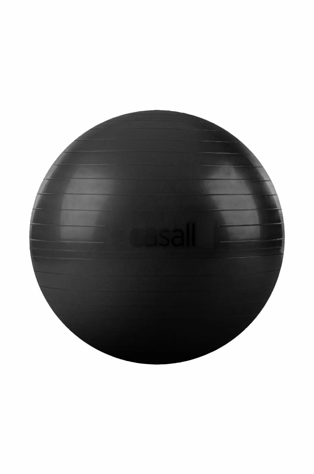 Casall Træningsredskaber & Udstyr|Træningsredskaber & Udstyr>Træningsbold Exercise Ball 70-75 cm No color