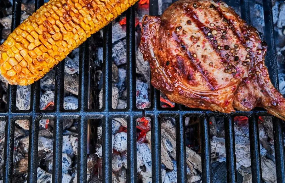 Char-Broil Udemøbler & Have>Hybrid-grill Gas2Coal 2.0 No color