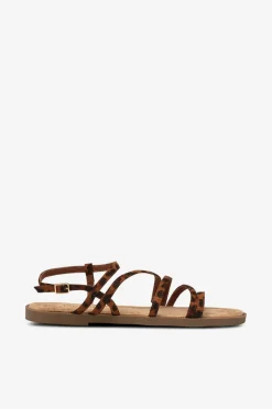 Duffy Sandaler Brown/multi Online