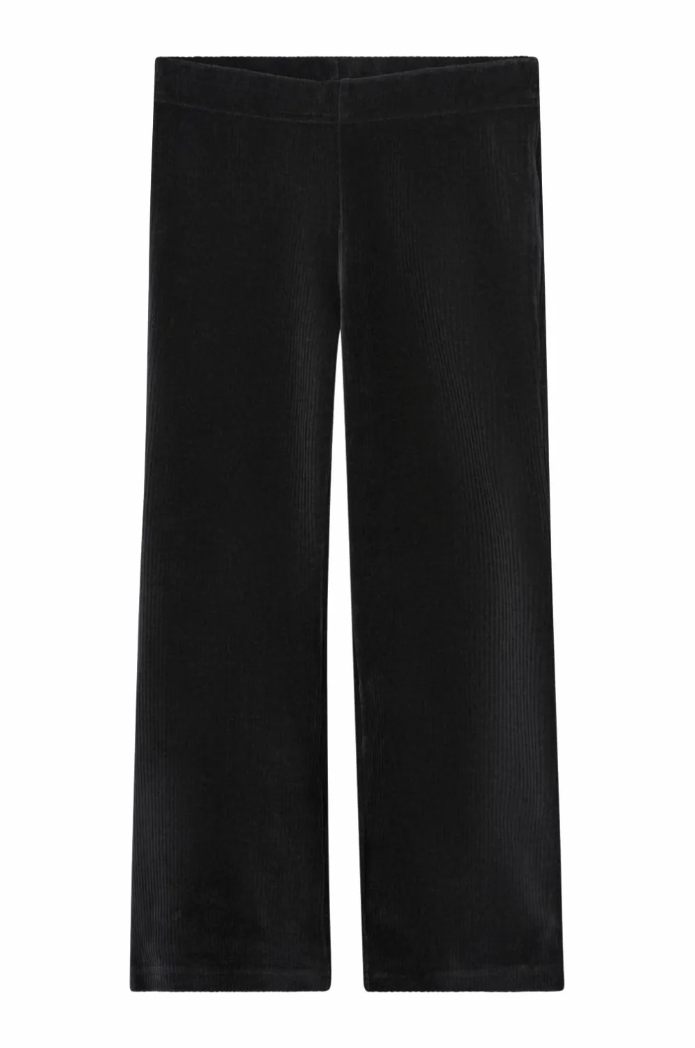 Ellos Bukser & Leggings>Collection Leggings i velour sort