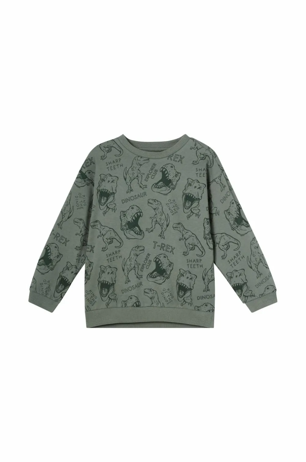 Ellos Sweatshirts & Hoodies>Collection Sweatshirt med tryk grøn