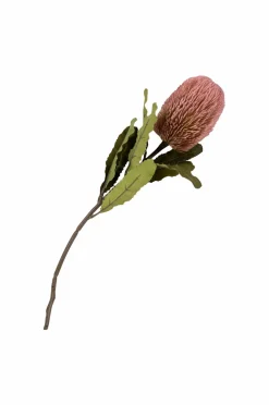 House Nordic Buket King Protea Rosa Mix New