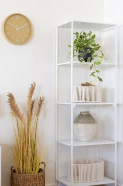 House Nordic Hoya Carnosa Grøn Outlet