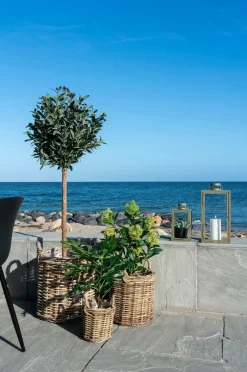 House Nordic Vinterbær Grøn mat sort Outlet