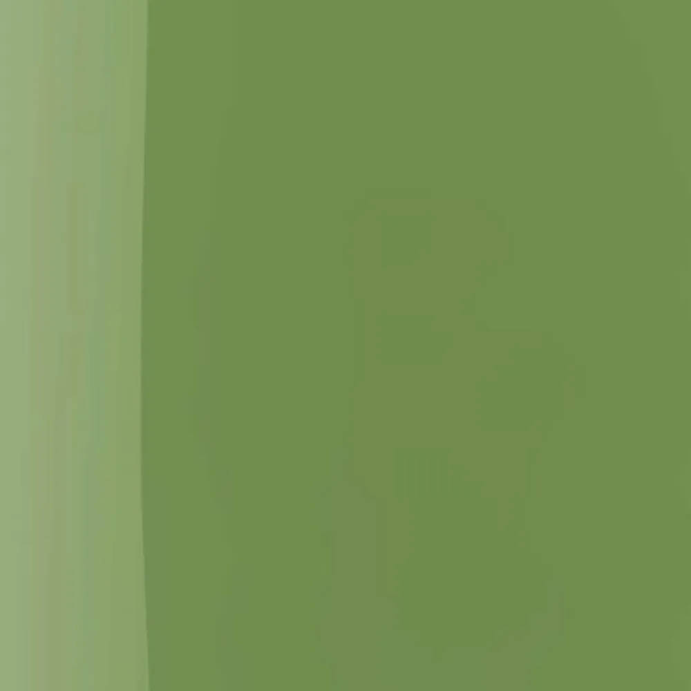 IsaDora Negle>The Wonder Nail Polish Quick Dry & Longwear 142 Lime