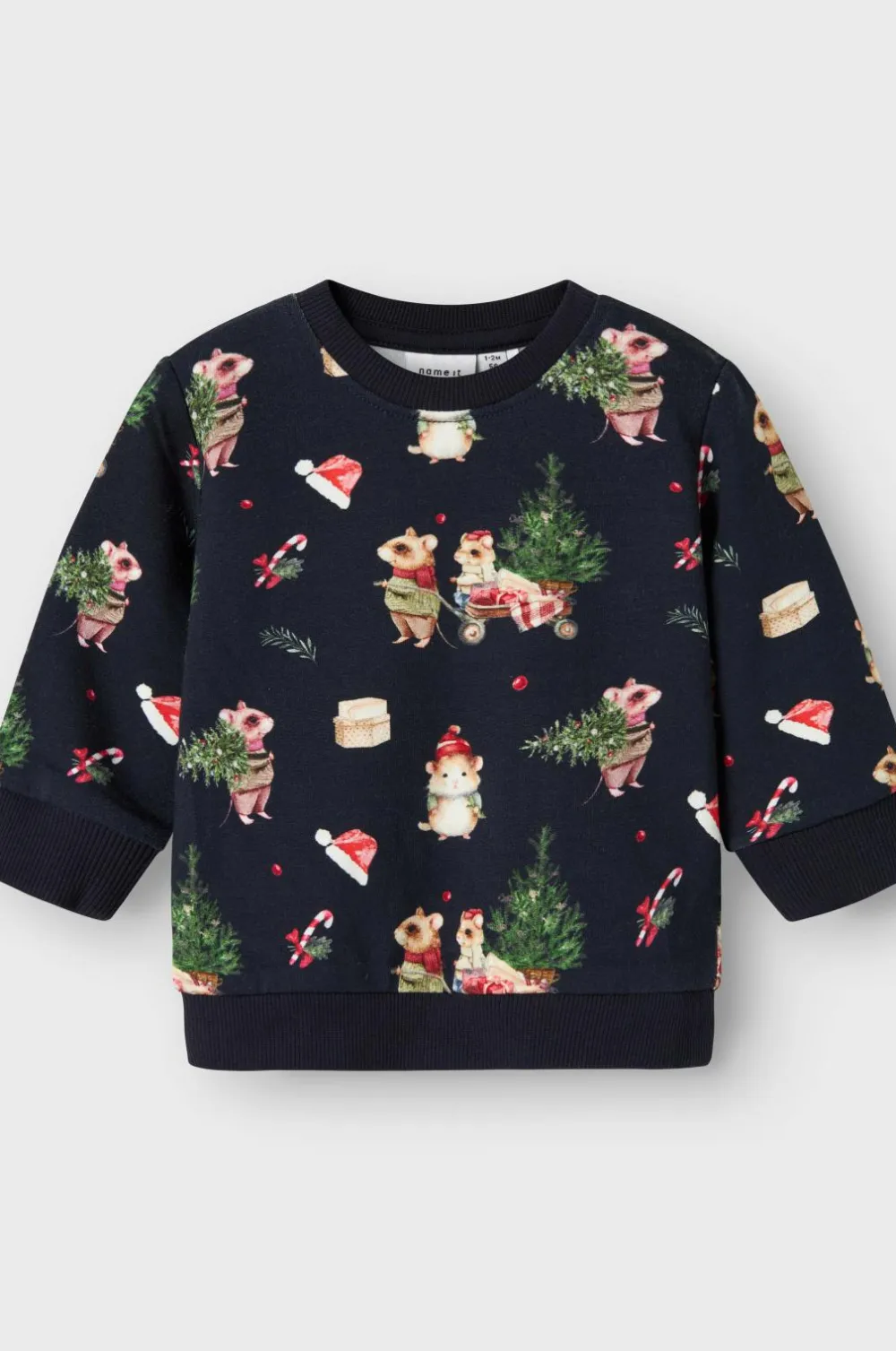 Name it Trøjer>baby Sweatshirt Nbnrenu LS Sweat Bru Navy blazer