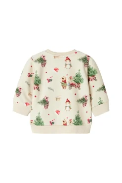 Name it baby Sweatshirt Nbnrenu LS Sweat Bru Peyote melange Online