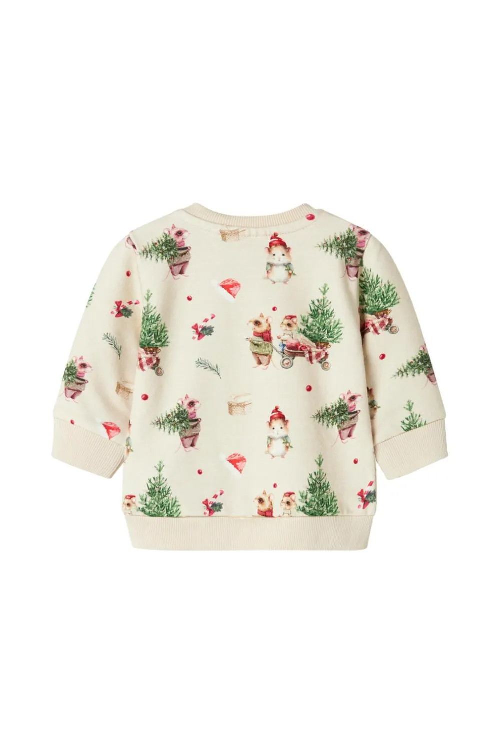 Name it baby Sweatshirt Nbnrenu LS Sweat Bru Peyote melange Online