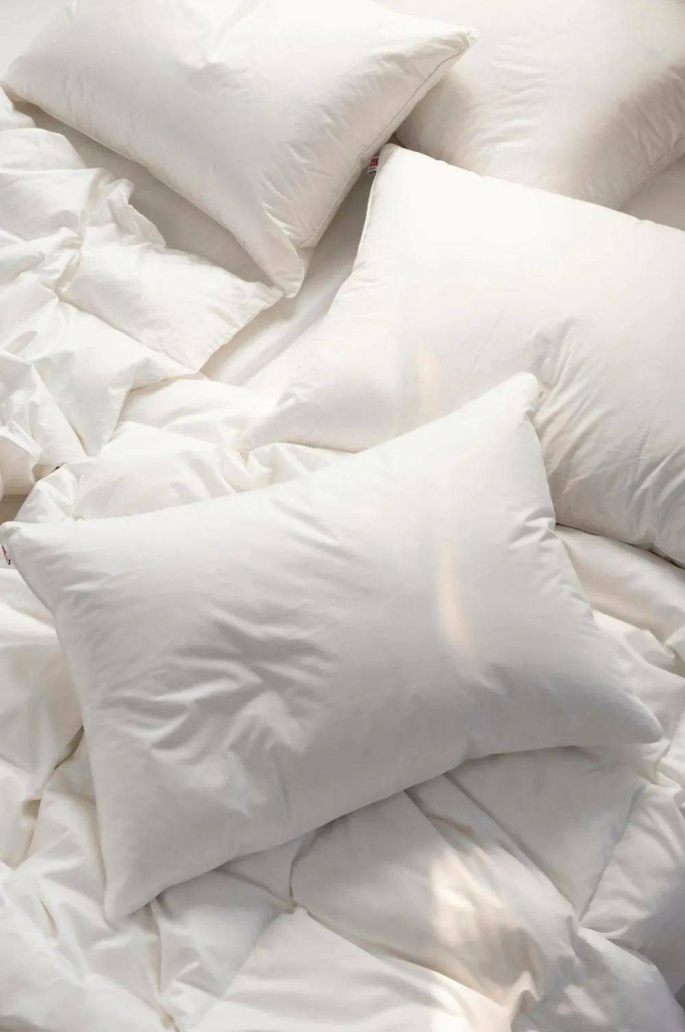 Norsk Dun Dyner & Hovedpuder>Dyne 50 % andedun Light Hvid