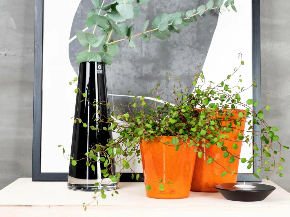 Rotor design Potteskjulere>Potte lille Orange