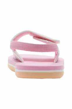 Roxy Sandaler><noscript><img width=