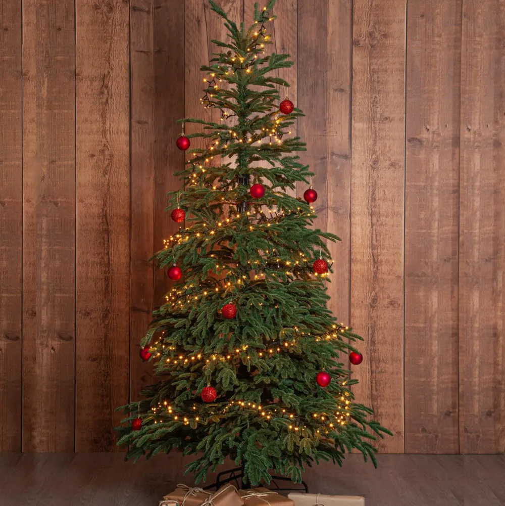 Star Trading Havepynt>Juletræ Edane 210 cm Grøn