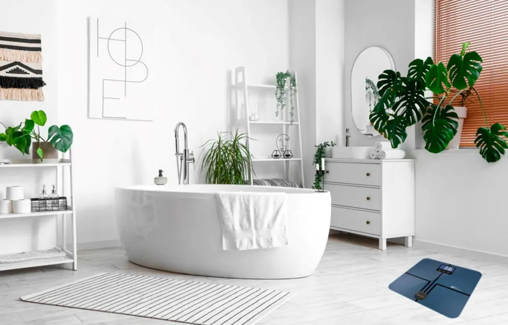 Terraillon Personlig Pleje>Personlig skala Master Coach Ultra Wifi & Bmi No color