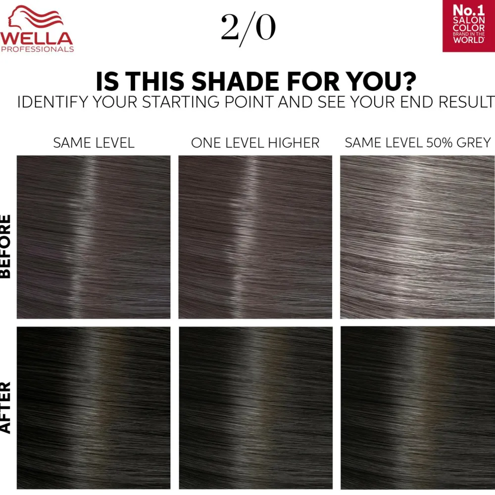Wella Professionals Color Touch Pure Naturals 130 ml Black 2/0