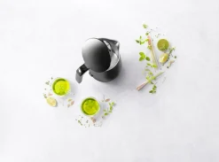 ZWILLING Elkedel Enfinigy 1,5 l Black Online
