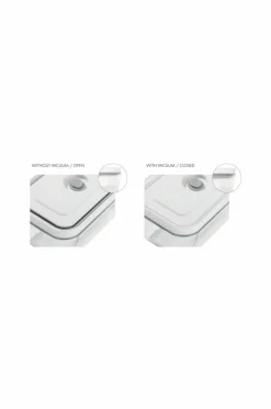 ZWILLING Vakuumbeholder Gratinfad Fresh & Save 2800 ml Glas Gy0006-grey Sale
